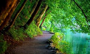 Image result for Peaceful