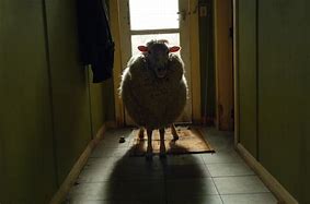Image result for Scary Lamb
