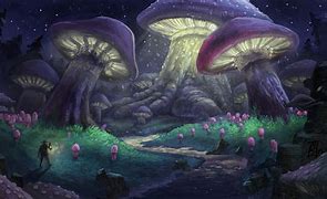 Image result for Mushroom Forest