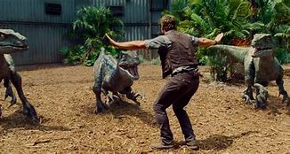 Image result for Jurassic World Chris Pratt with Raptors