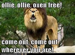 Image result for Olly Olly Oxen Free Meme