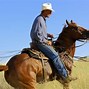 Image result for Working Ranch Horse Bits