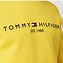 Image result for Tommy Hilfiger Logo Hoodie