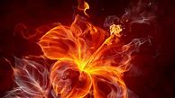 Image result for Flower Background Wallpaper Amazon Fire