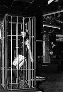 Image result for Nightclub Cage Dancer