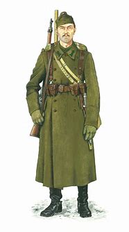 Image result for Hungarian Army Uniforms