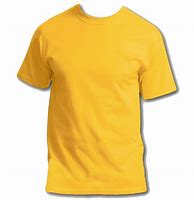 Image result for Tee Shirt On Hanger