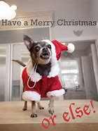Image result for Merry Christmas Funny Cards