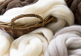 Image result for Organic Wool