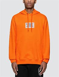Image result for Burberry Hoodie Inside