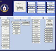 Image result for CIA Chief