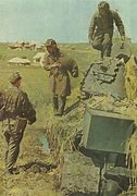 Image result for 36 SS Division