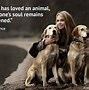 Image result for Animals Thoughts About People