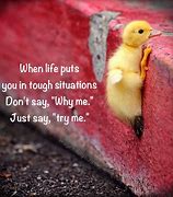 Image result for Cute Thought for the Day