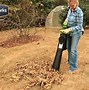 Image result for Outdoor Leaf Vacuum and Blower