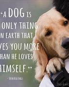 Image result for Quotes Animal Love Cute