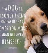 Image result for happy dogs quotations
