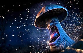 Image result for Free Shrooms