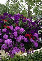 Image result for Fake Hanging Flowers