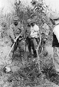 Image result for Japanese War Crimes in WW2