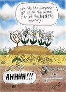 Image result for Funny Gardening Pics