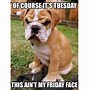 Image result for Happy Monday Tuesday Meme