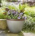 Image result for Southern Patio Planters