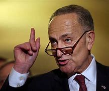 Image result for Charles Schumer Trump