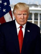 Image result for Trump Presidential Portrait