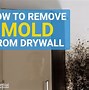 Image result for Remove Mold On Drywall