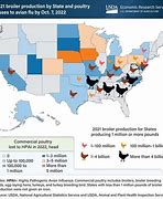 Image result for Avian Flu Map US