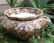 Image result for Large African Violet Pots