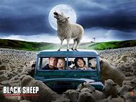 Image result for black sheep poster