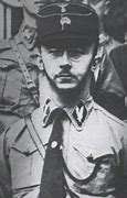 Image result for Himmler Colorized