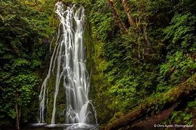 Image result for Olympic Falls