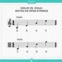 Image result for Viola vs Violin Difference