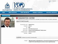 Image result for Interpol Most Wanted