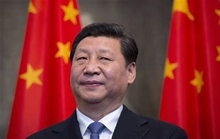 Image result for Xi Jinping PNG