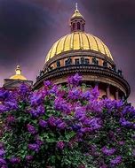 Image result for Saint-Petersburg Russia Cathedral