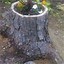 Image result for Tree Stump Decorations Outdoor