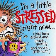 Image result for Stressed Quotes Funny