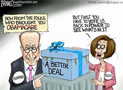 Image result for Pelosi and Schumer Cartoons