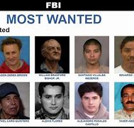 Image result for FBI Most Wanted All-Time