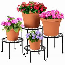 Image result for Wire Plant Pot Stands