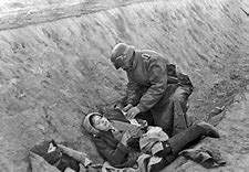 Image result for Stalingrad Russia WW2