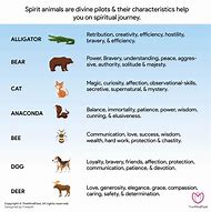 Image result for Funny Spiritual Animals