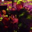 Image result for Istanbul Nightlife