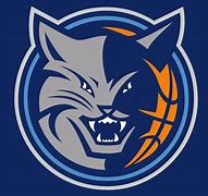Image result for Charlotte Bobcats