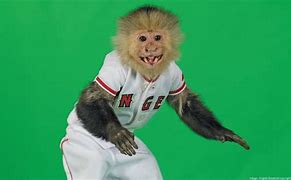 Image result for Los Angeles Angels Mascot