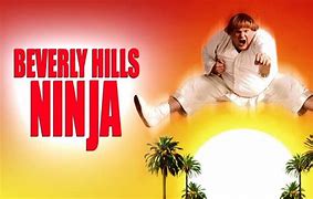 Image result for Beverly Hills Ninja Sensei